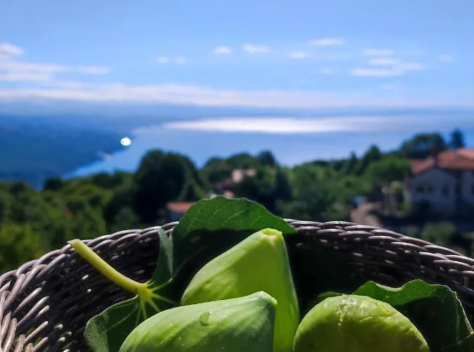 Apartament Uphill