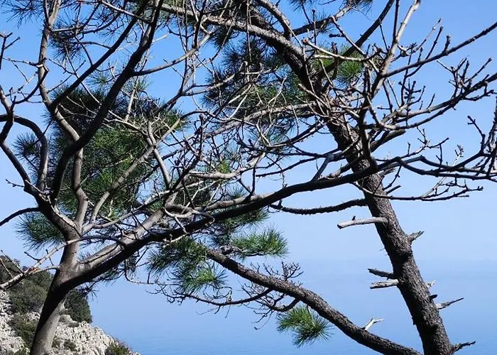 Apartamento Uphill Opatija