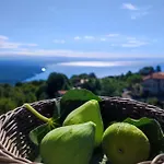 Appartement Uphill